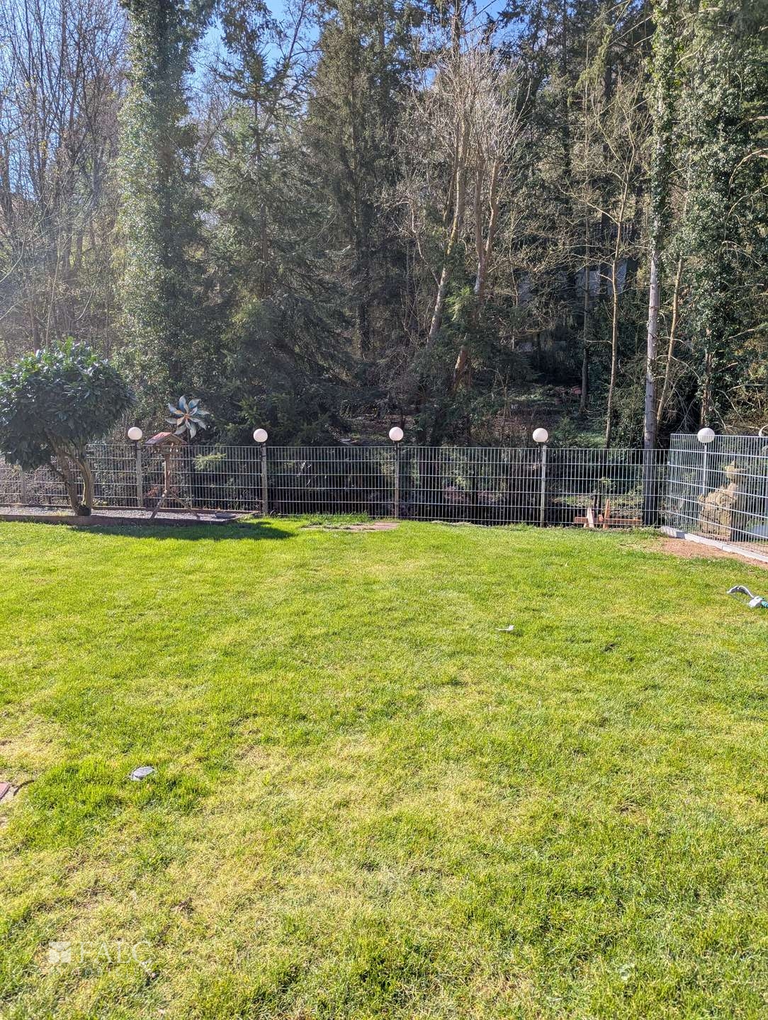 Aussicht vom Garten in den Wald